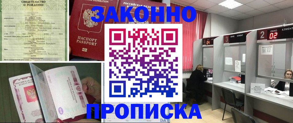 прописка в квартире в Димитровграде
